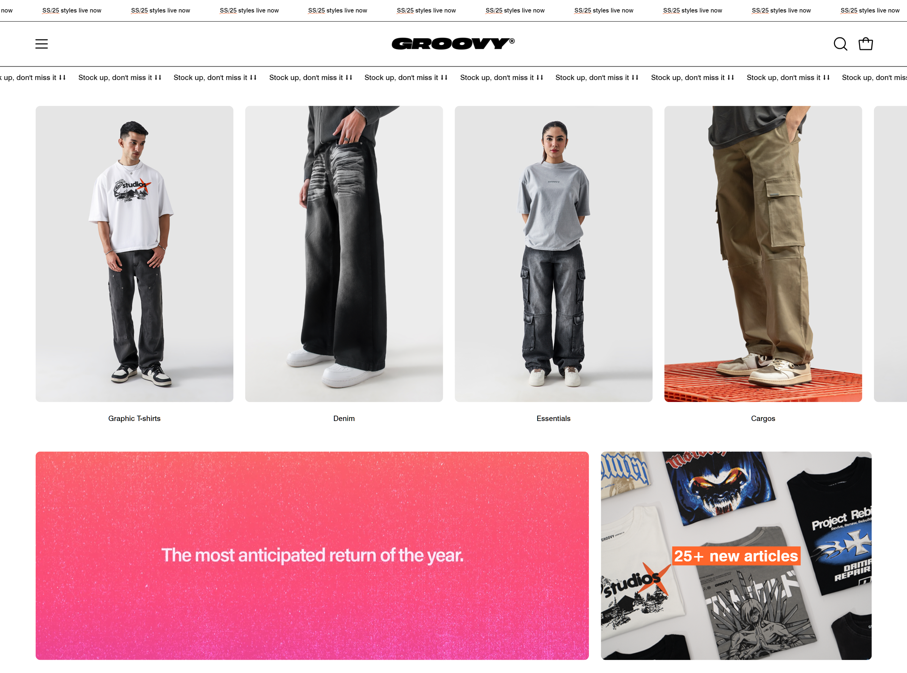Website Development for Groovy Pakistan